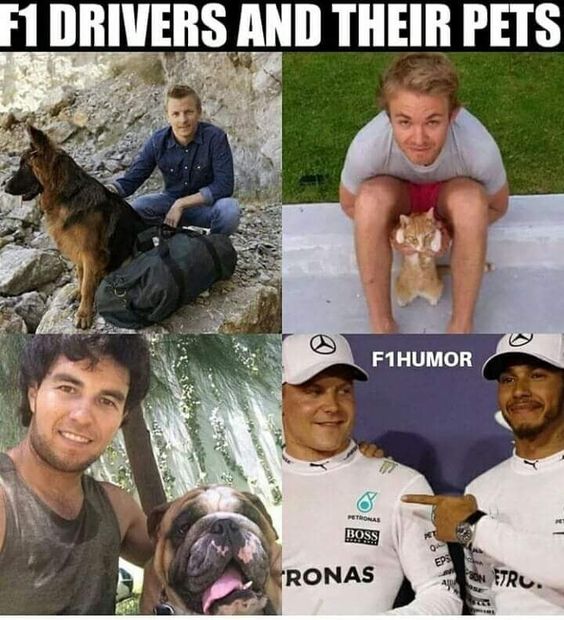 F1 pets.jpg